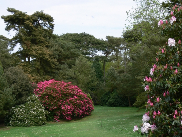 Bois des Moutiers (99) Mai 2012